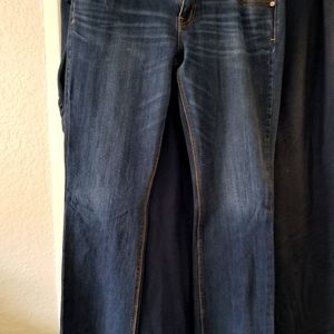 AE Artist Jeans